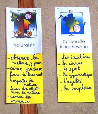 Int_multiple_naturaliste_kines
