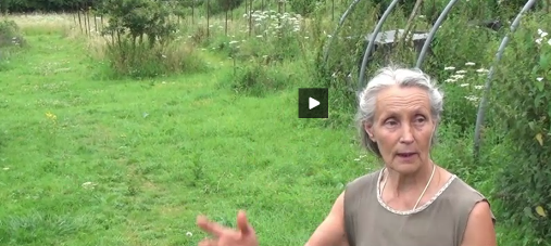 Hermione permaculture organisation des allees